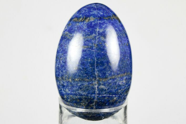 Polished Lapis Lazuli Egg - Pakistan #194517